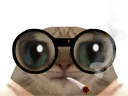 :chatserieux: