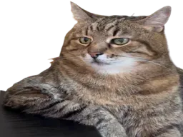 :chat_marlou1: