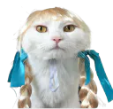:Coquette_chat: