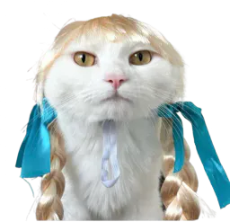 :Coquette_chat: