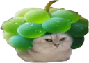 :chatbrushingraisin: