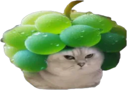 :chatbrushingraisin: