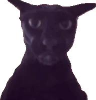 :Evil: