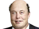 :Elon_musk_obese: