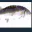 Photo de profil de FishiteLeSecond