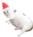 :Chat_noel_1: