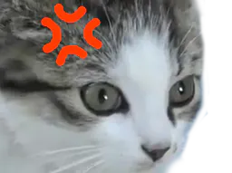 :chaton_nani: