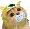 :Chaat_bonnet_tetine: