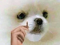 :pause_lucky_strikent: