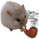 :Hamster_pipe: