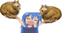 :Double_chamain: