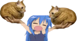 :Double_chamain: