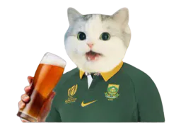 :CattoAfs: