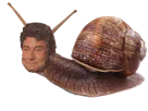 :jesus_escargot: