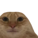Chatent