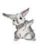 :lapinnon: