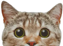 :Corachat: