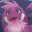Photo de profil de Furry