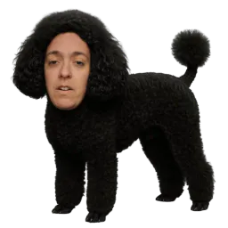 :Canicheaubry: