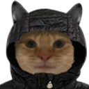Zincou