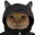 Photo de profil de Zincou