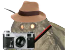:Moth_15:
