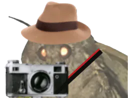 :Moth_15: