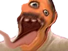 :bougnadair:
