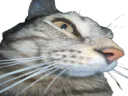 :CS_Zoom: