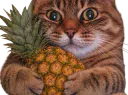 :chat_zoom_ananas: