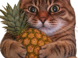 :chat_zoom_ananas: