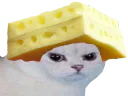 :chat_fromage: