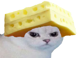 :chat_fromage: