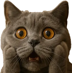 :chatpeur:
