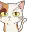 Photo de profil de SelecaoNatural