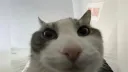 :hello_33: