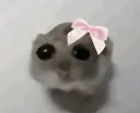 :HamsterNoeud: