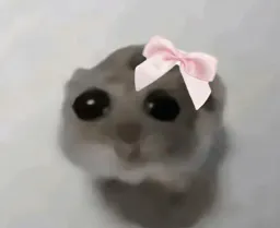 :HamsterNoeud: