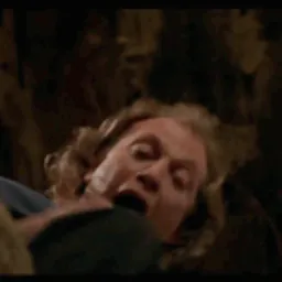 :Buffalo_gif:
