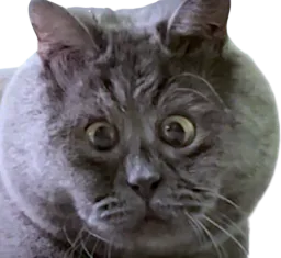 :Fedga: