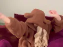 :AnyaBearDance: