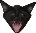 :chatgueuleouverte: