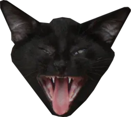 :chatgueuleouverte: