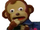 :Pedro_choque2: