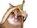 :ChatBanana: