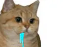 :sodium_bave: