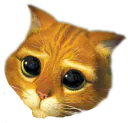 :chat_potte: