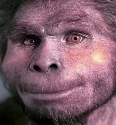 :homo_erection: