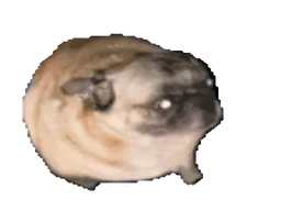 :chien_danse: