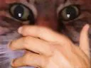 :chat_zoom_main_miroir: